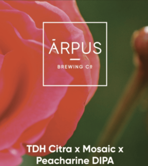 Arpus TDH Citra x Mosaic x Pechariene DIPA pl. 0,44