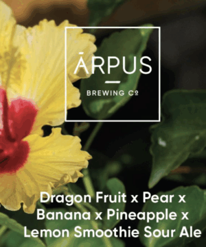 Arpus Dragon Fruit x Pear x Banana x Pineapple x Lemon Smoothie Sour Ale pl. 0,44