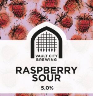 Vault City Raspberry Sour 0,33